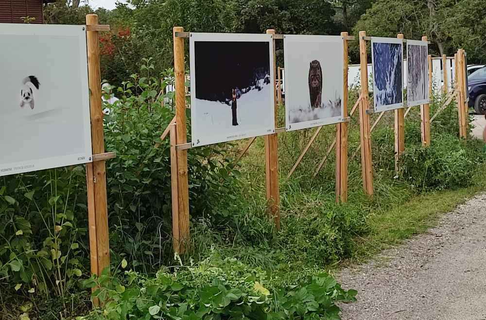A la découverte de l'exposition à Der Nature site de Chantecoq (51)