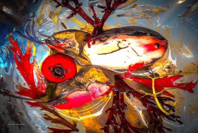 EXPOSITION FRAGMENTS D’IMAGES : photographies de l’imaginaire