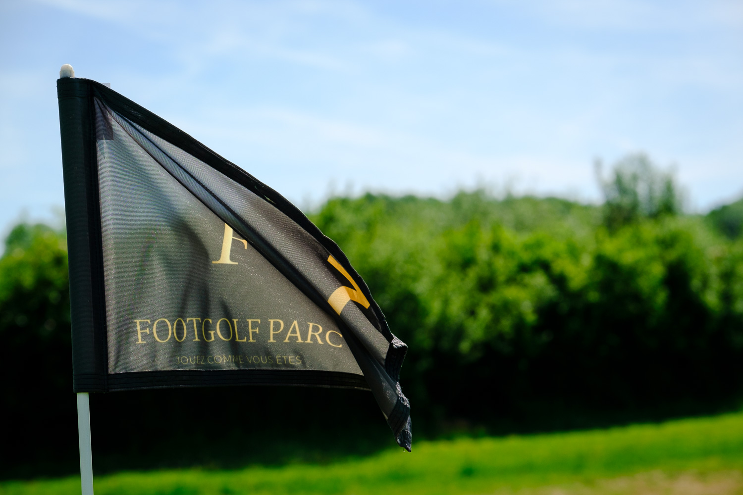 Footgolf Parc du Lac du Der, Giffaumont-Champaubert