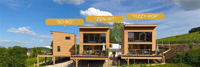 gites-antoinette-champagne-3-17622-