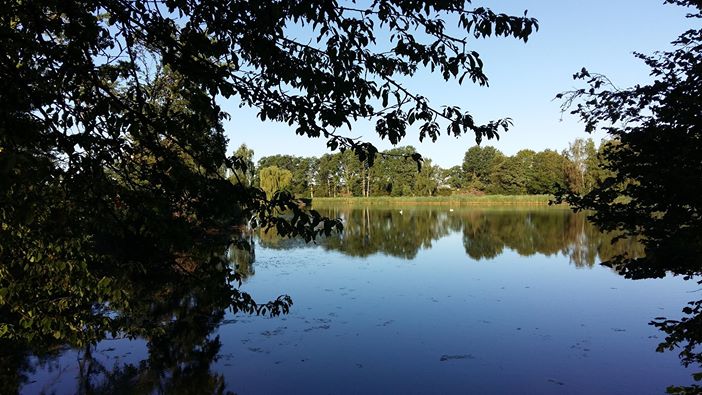 igny étangs été 2016