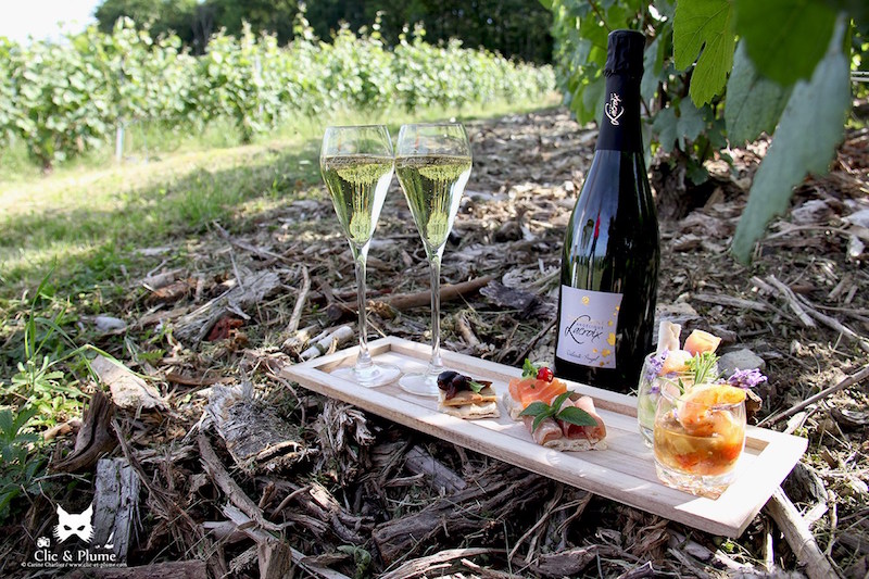 Champagne Angélique Lacroix - Châtillon-sur-Marne