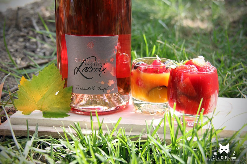 Champagne Angélique Lacroix - Châtillon-sur-Marne