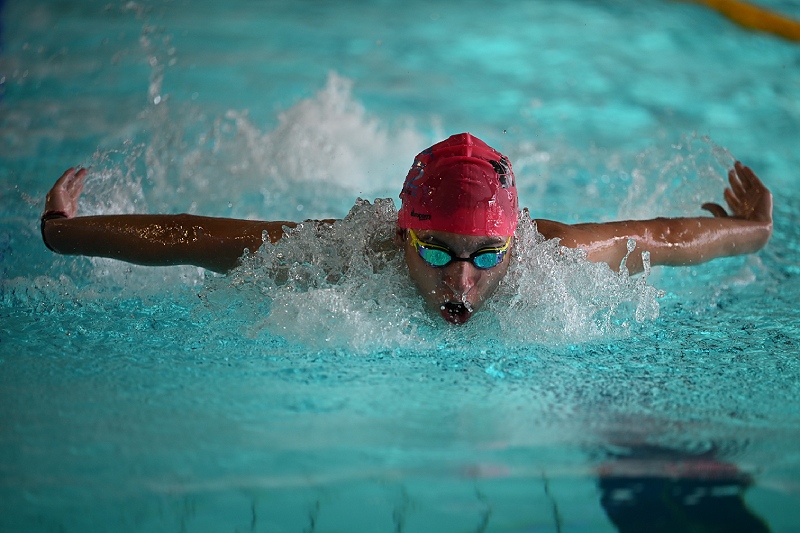 Langres natation 52