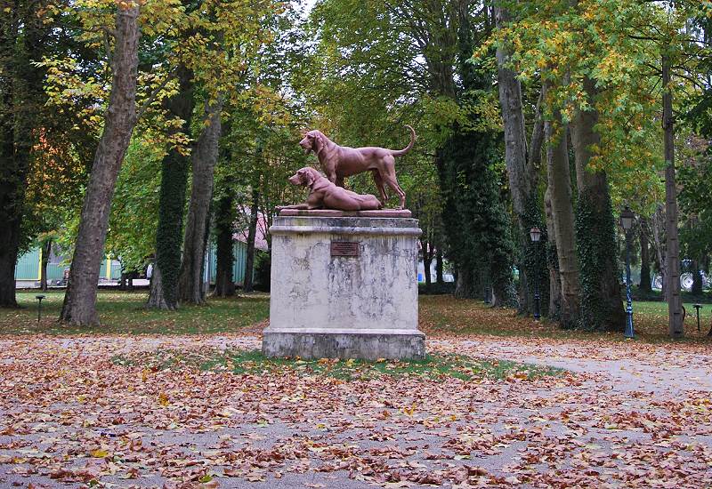 LE PARC DU PETIT BOIS