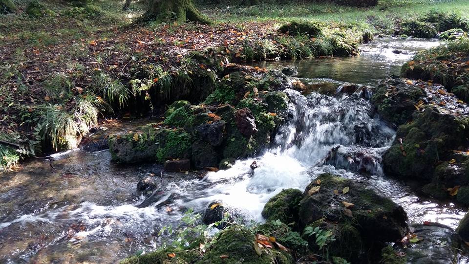 les eaux du sourdon 28 9 17 11