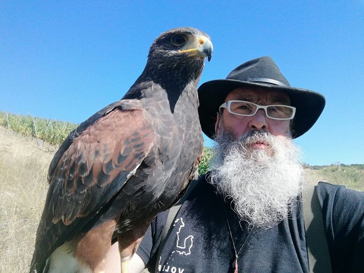 Libre Maquis - Promenade avec Rapaces
