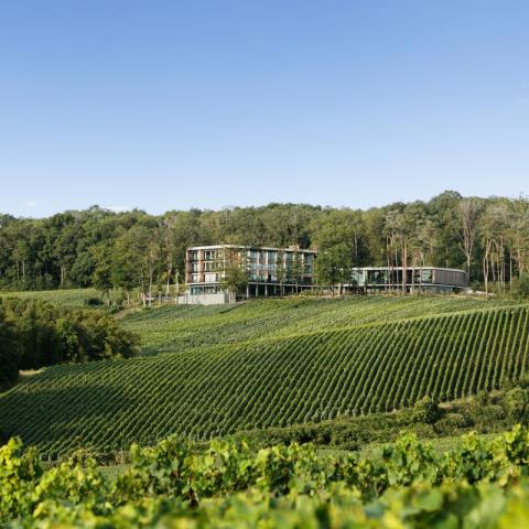 loisium-wine-spa-en-champagne-mutigny
