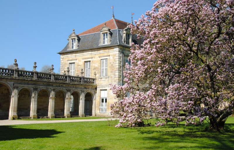 Jardin de l'Abbaye de Trois Fontaines, Trois-Fontaines-l'Abbaye - photo 10