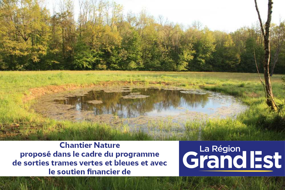 Chantier restauration de la mare de l'école à Saint-Rémy-en-Bouzemont