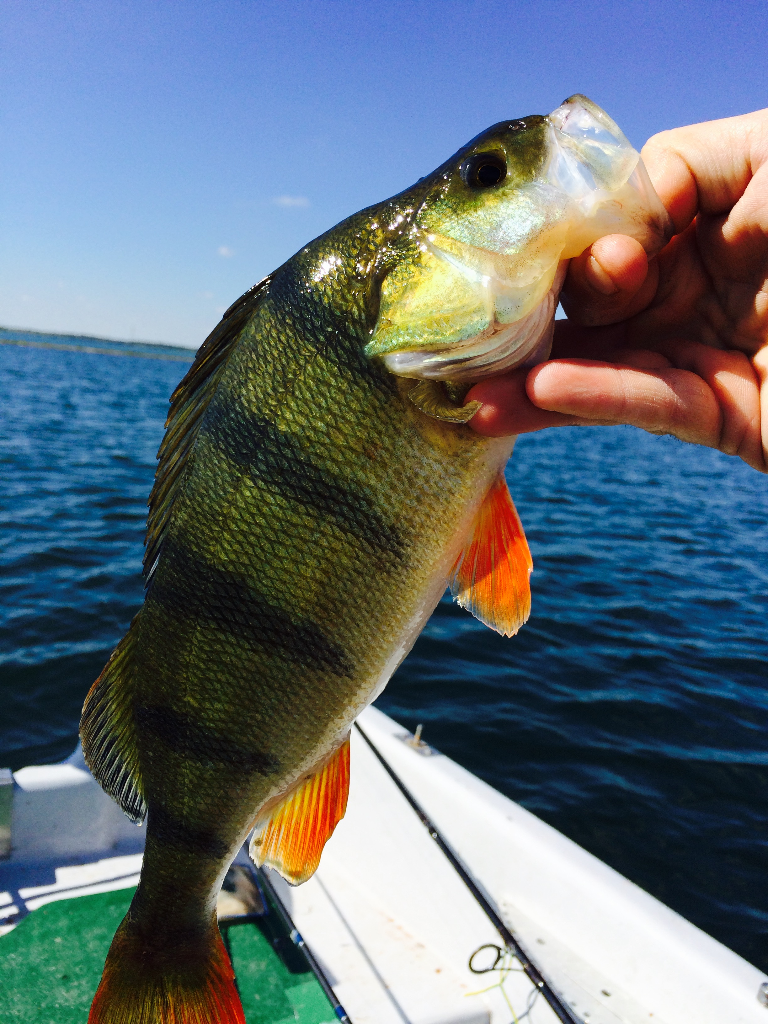 Maison des Pêcheurs, Giffaumont-Champaubert - photo 3