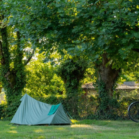 only camp