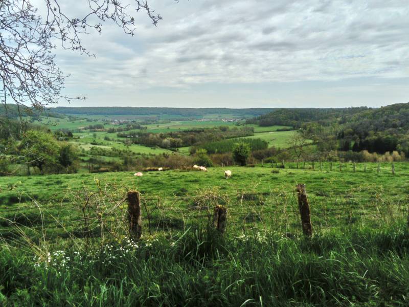 Association Natur'ailes, Varennes-sur-Amance - photo 10