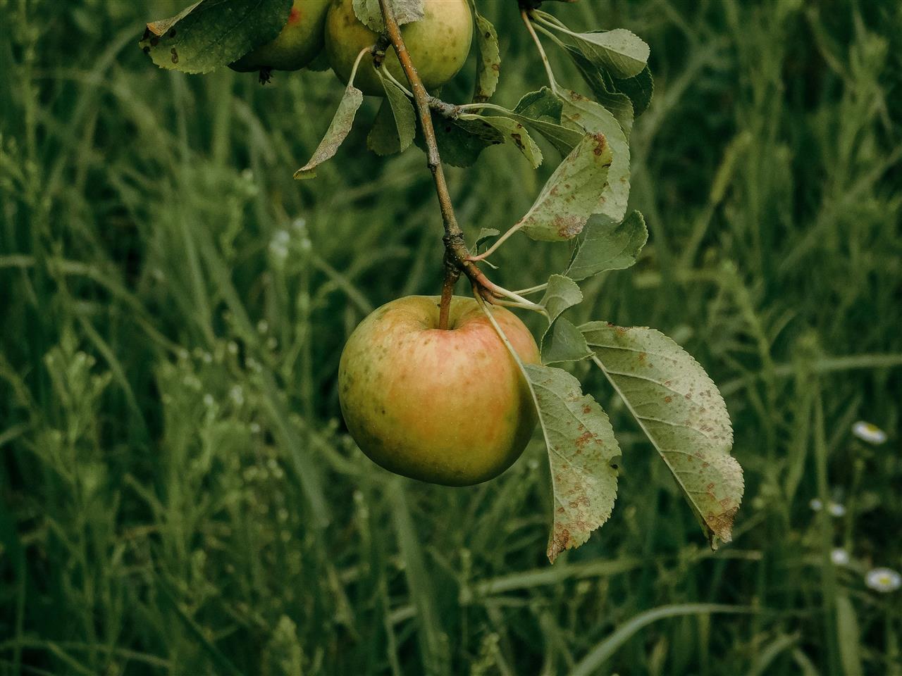 pexels-yuliatko-s-1599392331-27459281