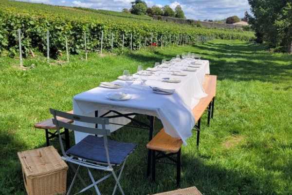Brunch dans les vignes