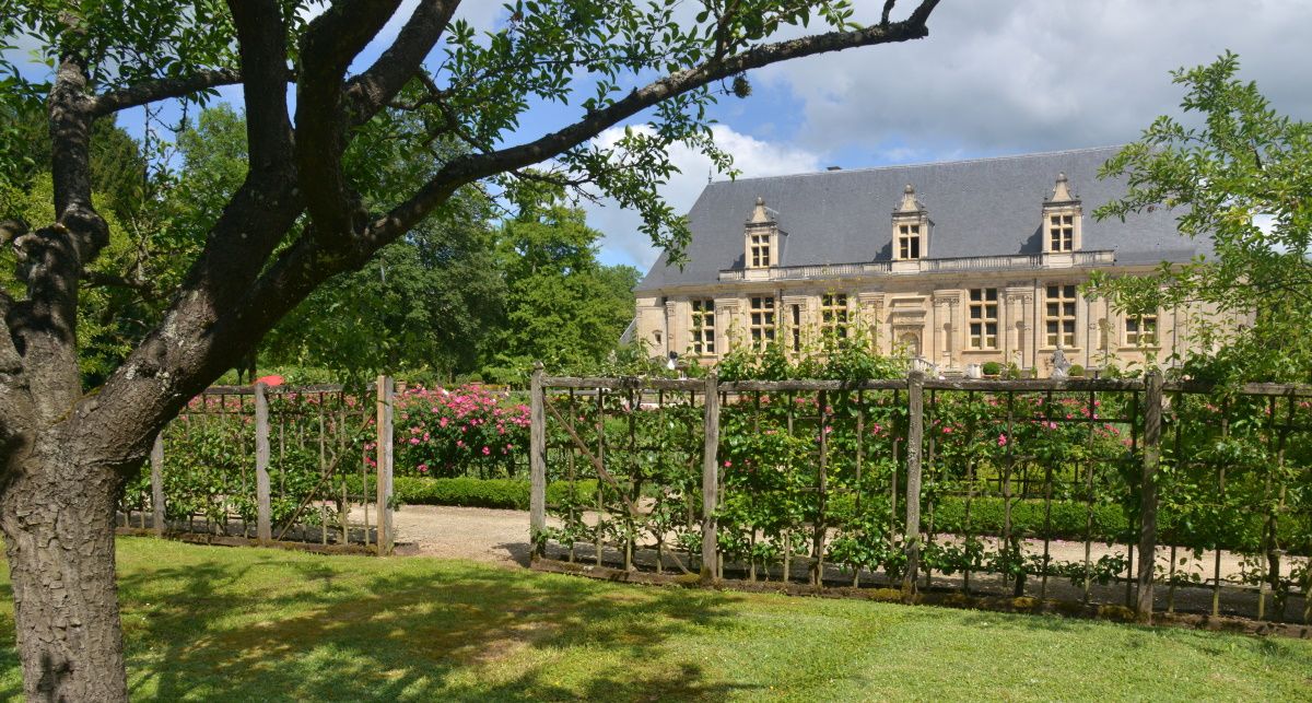 CHATEAU DU GRAND JARDIN, COTE CHATEAU, Joinville - photo 9