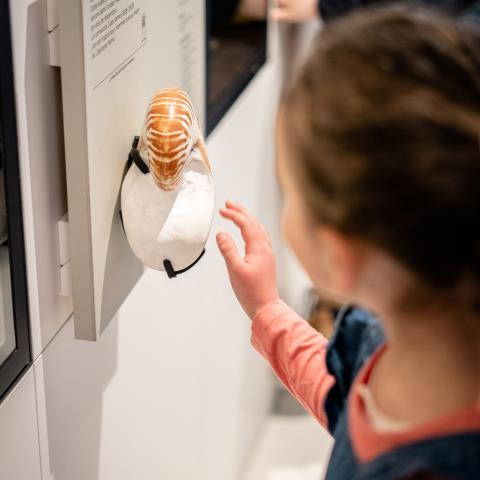 Atelier "Poké-géo" (7-12 ans)_1