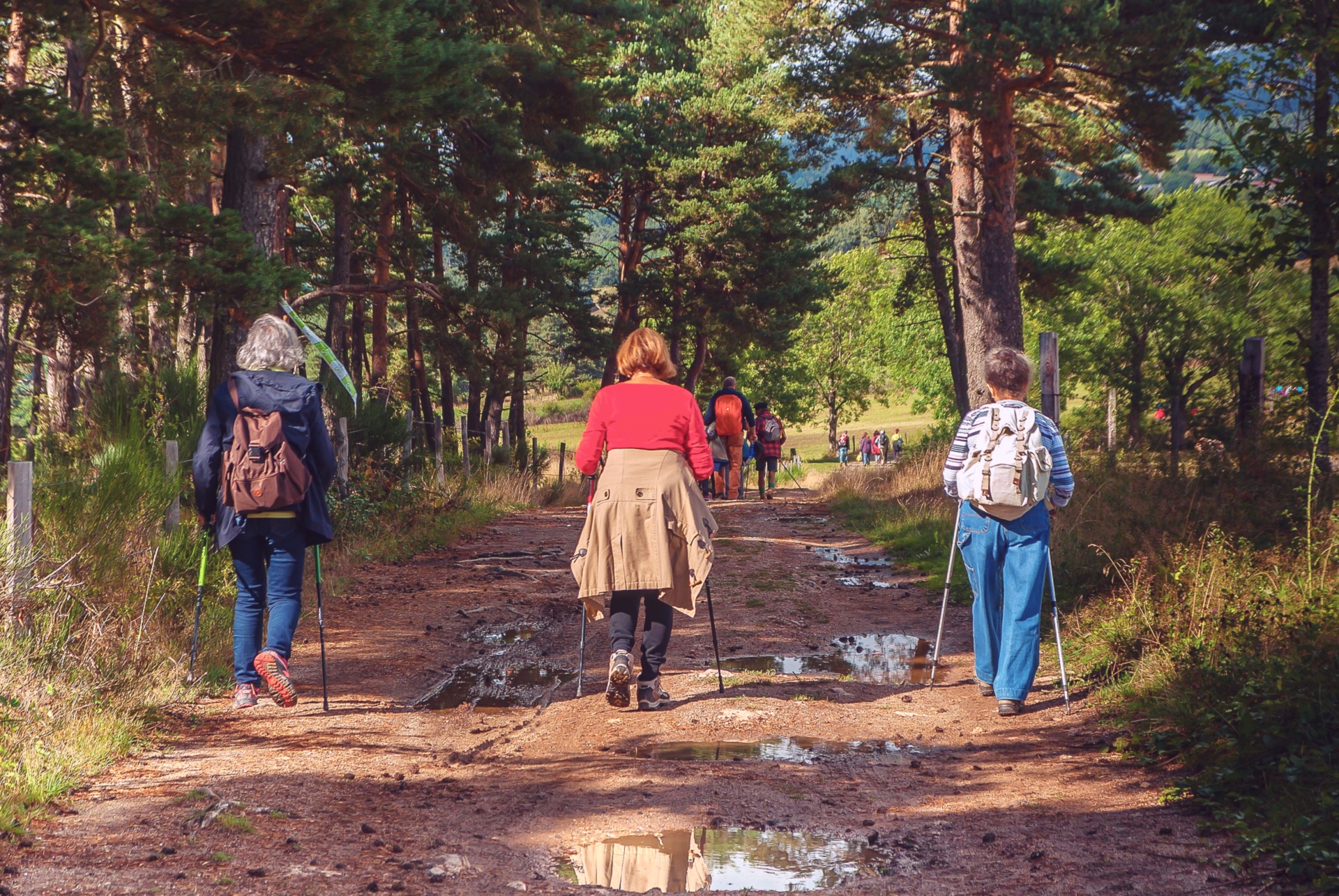 Escapades : Randonnée à la découverte des orchidées du Der