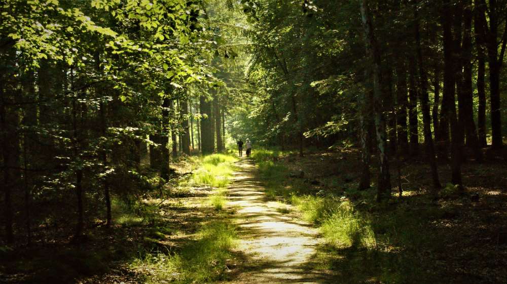 Rando douce nature