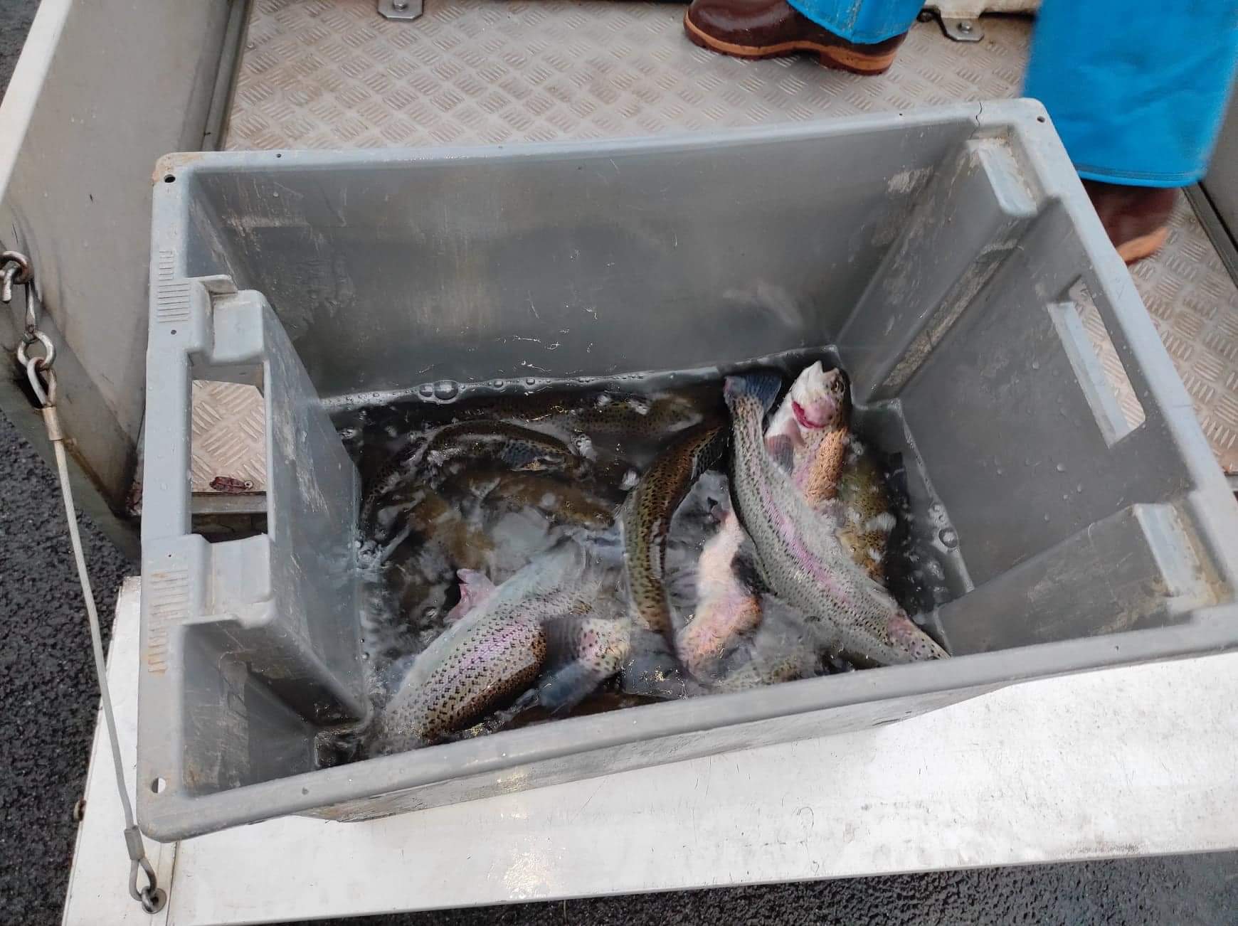 APPMA La Gaule Marnavalaise - photo 4