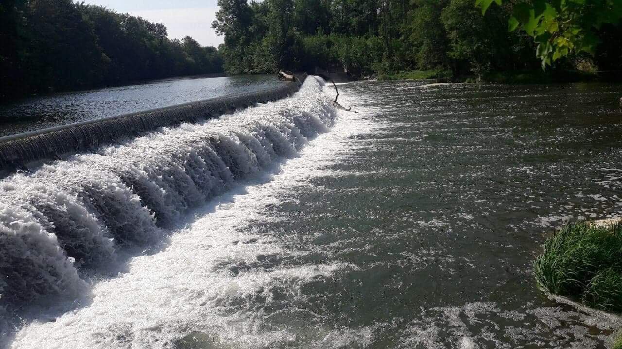 APPMA La Gaule Marnavalaise