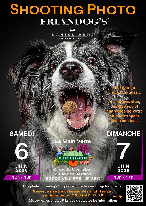 Shooting photo de chien — visuel événement