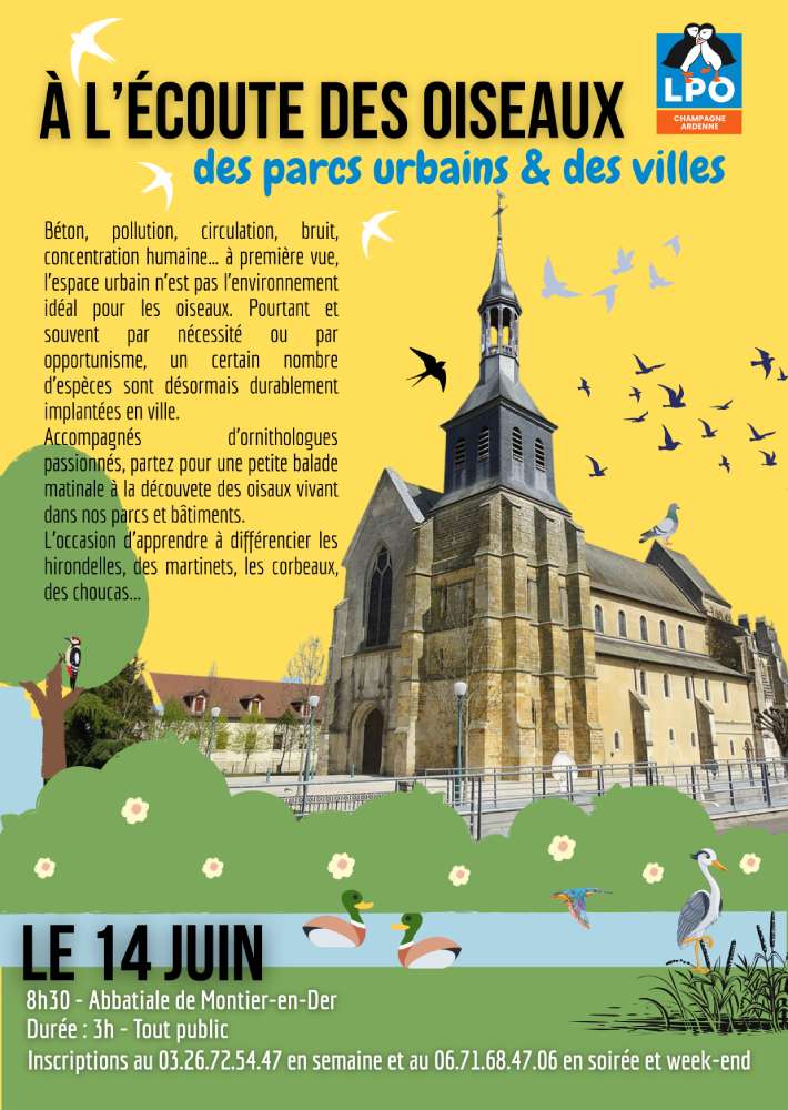 Oiseaux des parcs urbains et des villes