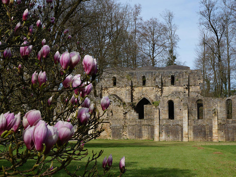 Jardin de l'Abbaye de Trois Fontaines, Trois-Fontaines-l'Abbaye