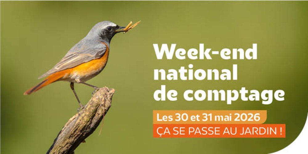Week-End national de comptage des oiseaux de jardins